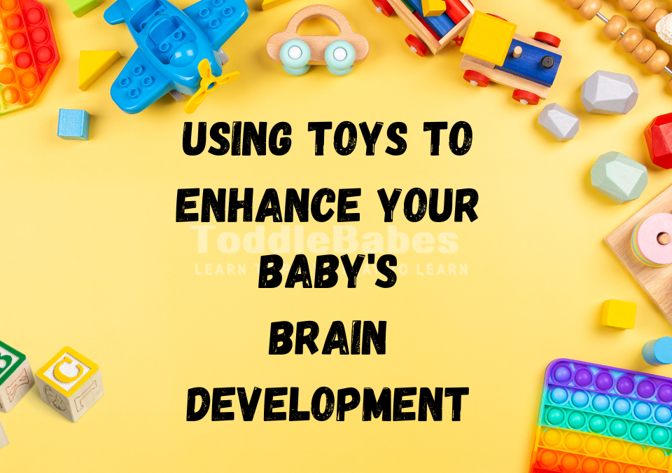 brain development toddlebabes.co.uk