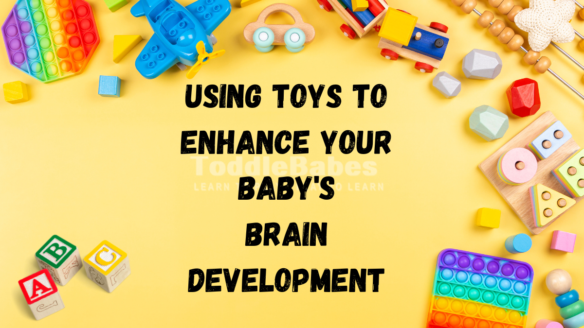 brain development toddlebabes.co.uk