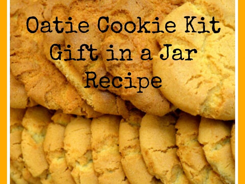 oatmeal cookie recipe, gift recipes, recipes for homeamde cookies