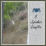 spidercraft | Toddlebabes - Learn to Play - Play to Learn