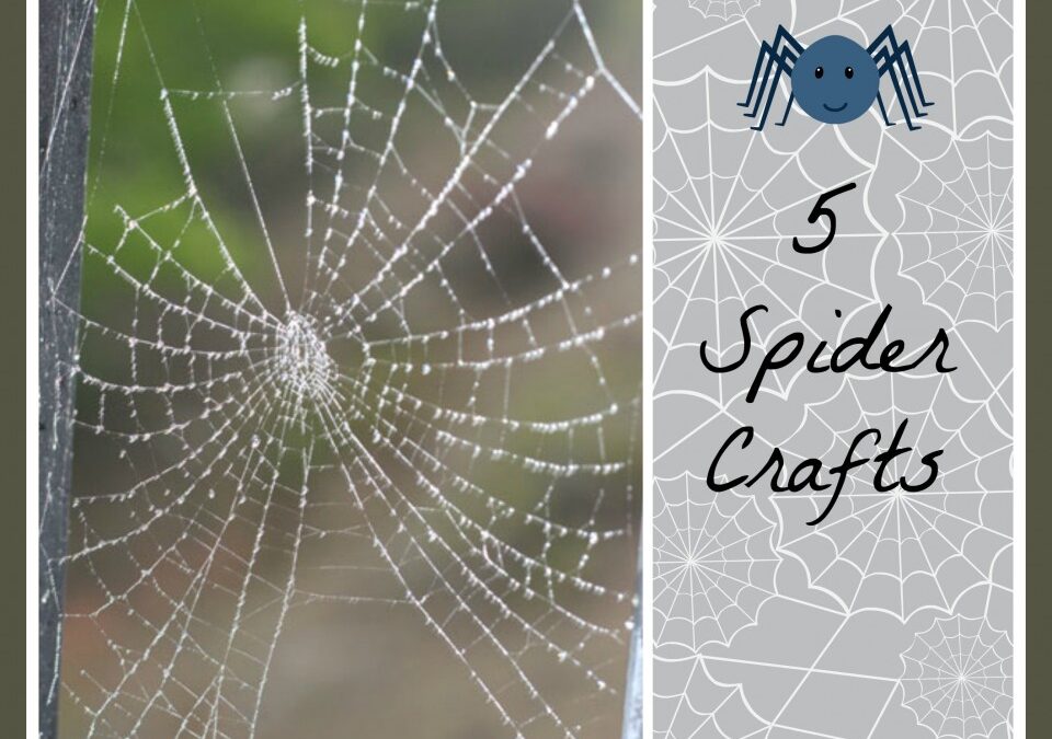 spidercraft | Toddlebabes - Learn to Play - Play to Learn