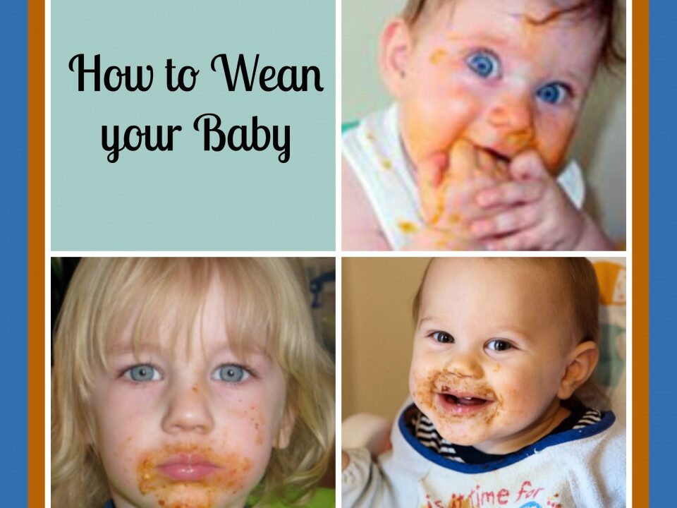 How to Wean your Baby