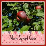 Warm Spiced Cider, cider recipe, apple recipes