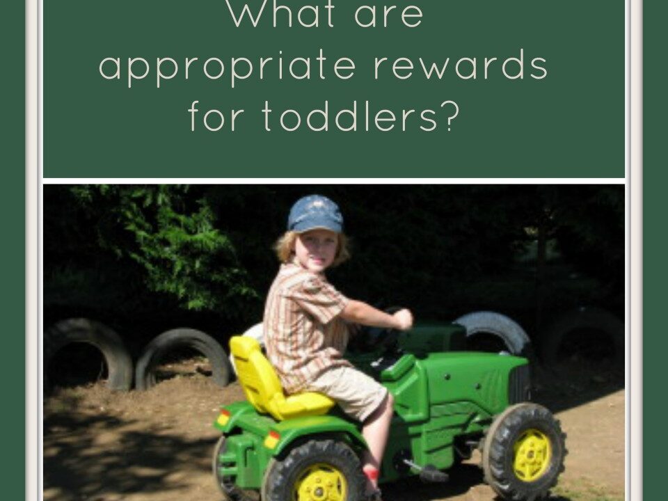 what are Appropriate rewards for toddlers? behaviour management, rewarding good behaviour