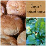 Cheese and spinach scones