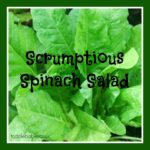 Scrumptious Spinach Sala, spinach recipe, salad recipe, clean living recipe