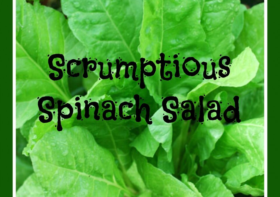 Scrumptious Spinach Sala, spinach recipe, salad recipe, clean living recipe