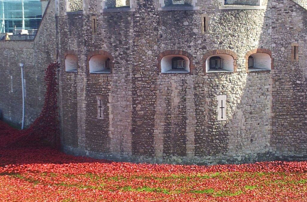poppies, London, Remembrance day
