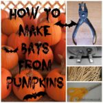 Pumpkin bats, Halloween bats,