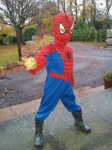 Spiderman costume