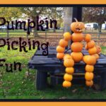 Pumpkin picking | Toddlebabes - Learn to Play - Play to Learn