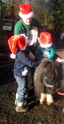 shetland, christmas
