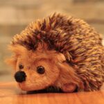 hedgehog, animal, soft toy