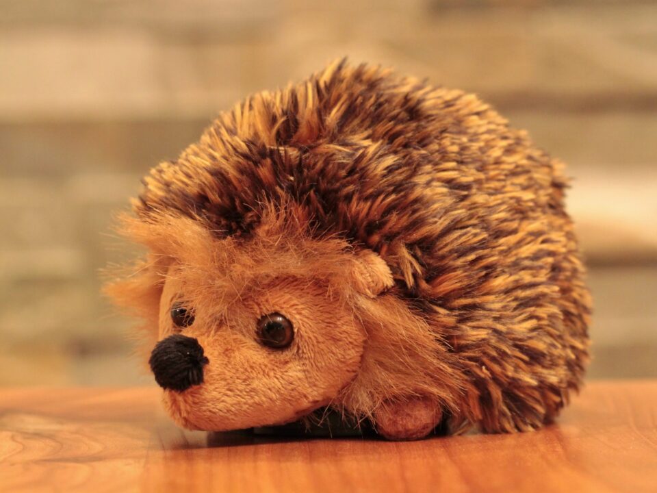 hedgehog, animal, soft toy
