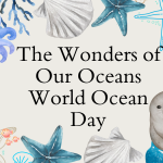 world ocean day