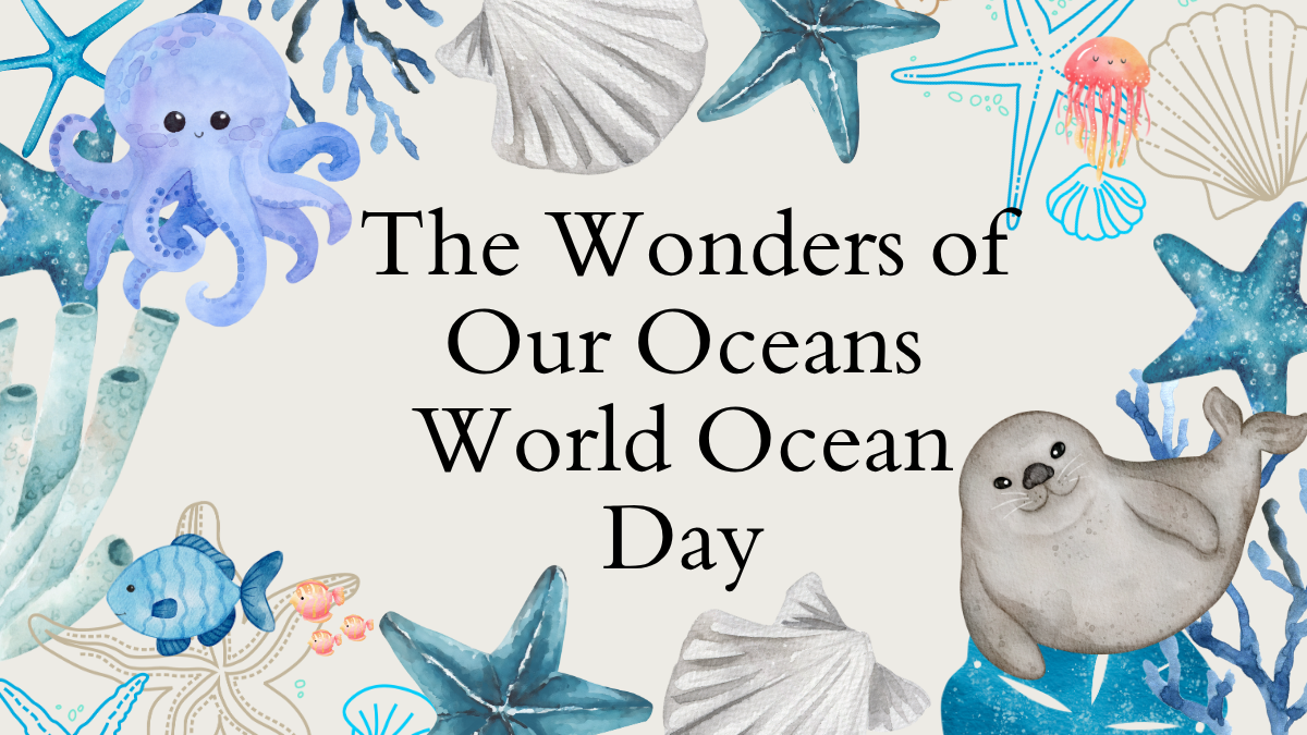 world ocean day
